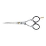 Hair Scissor