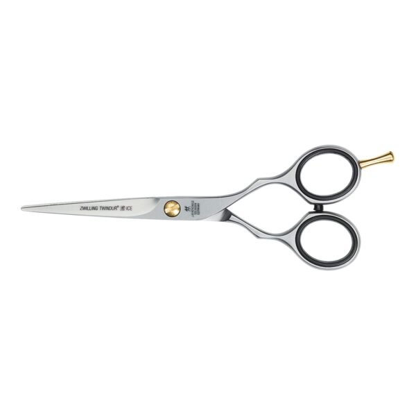 Hair Scissor
