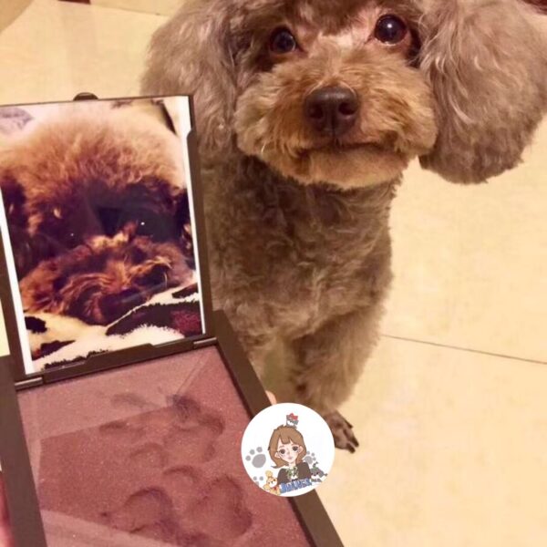 Permanently Save Pet Dogs, Cats And Dogs