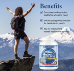 🍁 Seal Oil 500mg (300 Softgels), Canadian Newfoundland Harp Seal Omega-3 Supplement, Non-GMO, Gluten-free, Soy-free, and Dairy-free | Made in Canada | Product of Canada - Image 3